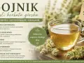 Aromatyczna herbata z gojnika, czyli górskiego ziela, w szklanej filiżance. Napar bez kofeiny, wspierający odporność i trawienie.