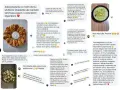 Zdrowe śniadanie: placuszki z jogurtem i koperkiem. Wiosenna dieta i sałatki to mój styl życia!