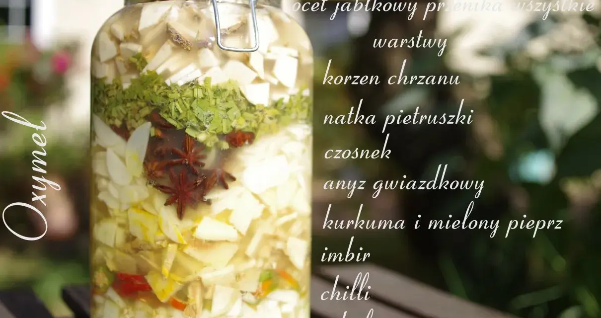 Słoik z warstwami składników do oxymelu: jabłko, chrzan, natka, czosnek, anyż, kurkuma, imbir, chilli, cebula.