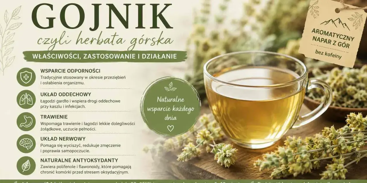 Aromatyczna herbata z gojnika, czyli górskiego ziela, w szklanej filiżance. Napar bez kofeiny, wspierający odporność i trawienie.