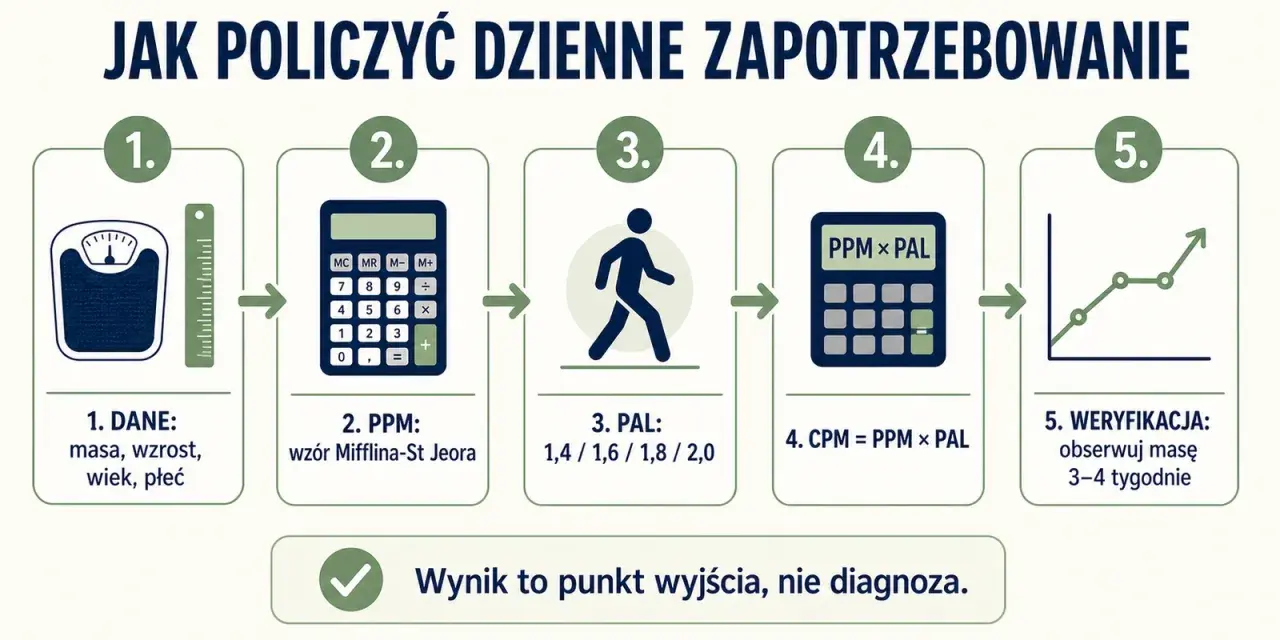 Jak obliczyć dzienne zapotrzebowanie kaloryczne: dane, PPM, PAL, CPM i weryfikacja masy. Wynik to punkt wyjścia.