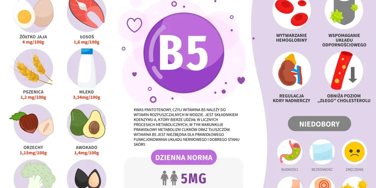 Wykres przedstawia witaminę B5, jej źródła (jajka, łosoś, pszenica, mleko, orzechy, awokado, brokuły, nasiona słonecznika), korzyści (hemoglobina, odporność, nadnercza, cholesterol) i objawy niedoboru.