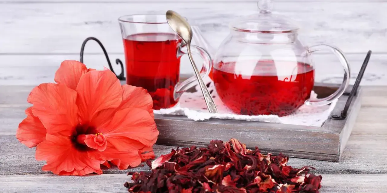Czerwony napar z hibiskusa, świeży kwiat i suszone płatki. Choć hibiskus działa korzystnie, warto pamiętać o potencjalnym działaniu niepożądanym.