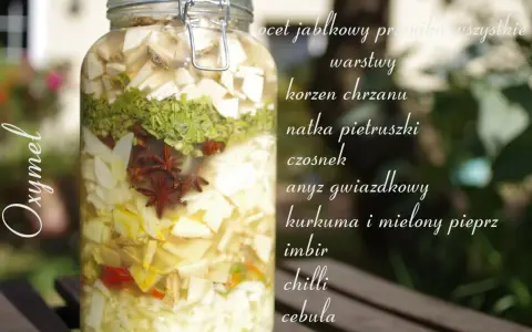 Słoik z warstwami składników do oxymelu: jabłko, chrzan, natka, czosnek, anyż, kurkuma, imbir, chilli, cebula.