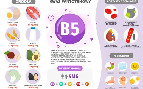 Wykres przedstawia witaminę B5, jej źródła (jajka, łosoś, pszenica, mleko, orzechy, awokado, brokuły, nasiona słonecznika), korzyści (hemoglobina, odporność, nadnercza, cholesterol) i objawy niedoboru.