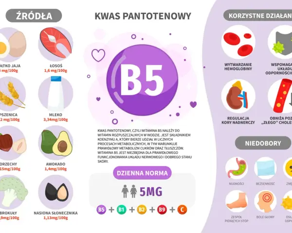 Wykres przedstawia witaminę B5, jej źródła (jajka, łosoś, pszenica, mleko, orzechy, awokado, brokuły, nasiona słonecznika), korzyści (hemoglobina, odporność, nadnercza, cholesterol) i objawy niedoboru.
