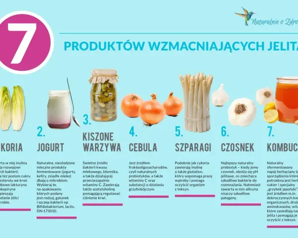 Cykoria, jogurt, kiszone warzywa, cebula, szparagi, czosnek i kombucha – produkty wzmacniające jelita.