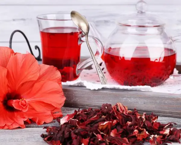 Czerwony napar z hibiskusa, świeży kwiat i suszone płatki. Choć hibiskus działa korzystnie, warto pamiętać o potencjalnym działaniu niepożądanym.