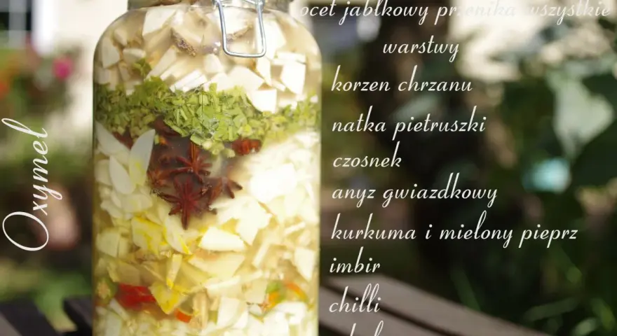 Słoik z warstwami składników do oxymelu: jabłko, chrzan, natka, czosnek, anyż, kurkuma, imbir, chilli, cebula.