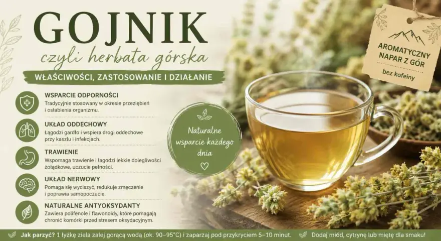 Aromatyczna herbata z gojnika, czyli górskiego ziela, w szklanej filiżance. Napar bez kofeiny, wspierający odporność i trawienie.