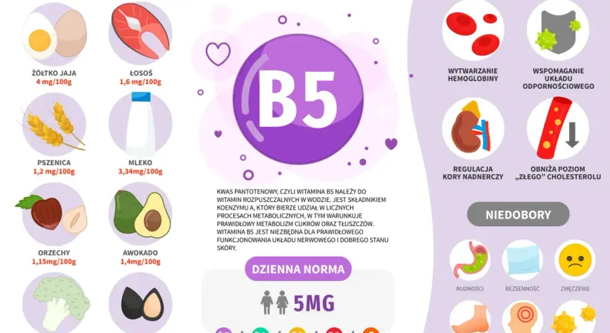 Wykres przedstawia witaminę B5, jej źródła (jajka, łosoś, pszenica, mleko, orzechy, awokado, brokuły, nasiona słonecznika), korzyści (hemoglobina, odporność, nadnercza, cholesterol) i objawy niedoboru.