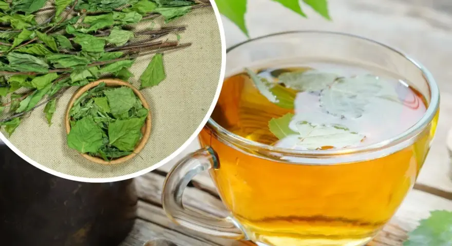 Aromatyczna herbata z liści brzozy w szklanej filiżance, obok suszone liście i gałązki.