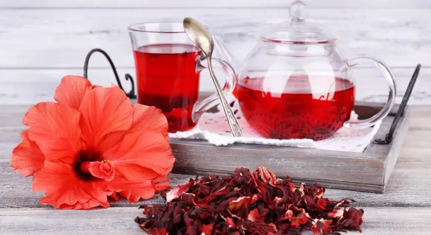 Czerwony napar z hibiskusa, świeży kwiat i suszone płatki. Choć hibiskus działa korzystnie, warto pamiętać o potencjalnym działaniu niepożądanym.