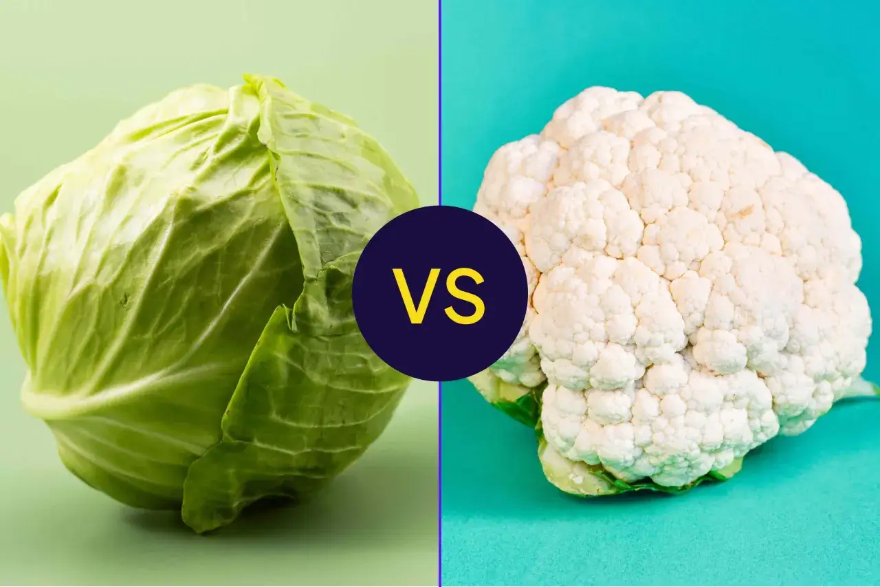 Kapusta vs kalafior. Czy kalafior szkodzi? Porównanie warzyw.