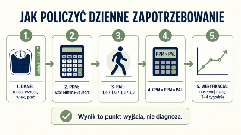 Jak obliczyć dzienne zapotrzebowanie kaloryczne: dane, PPM, PAL, CPM i weryfikacja masy. Wynik to punkt wyjścia.
